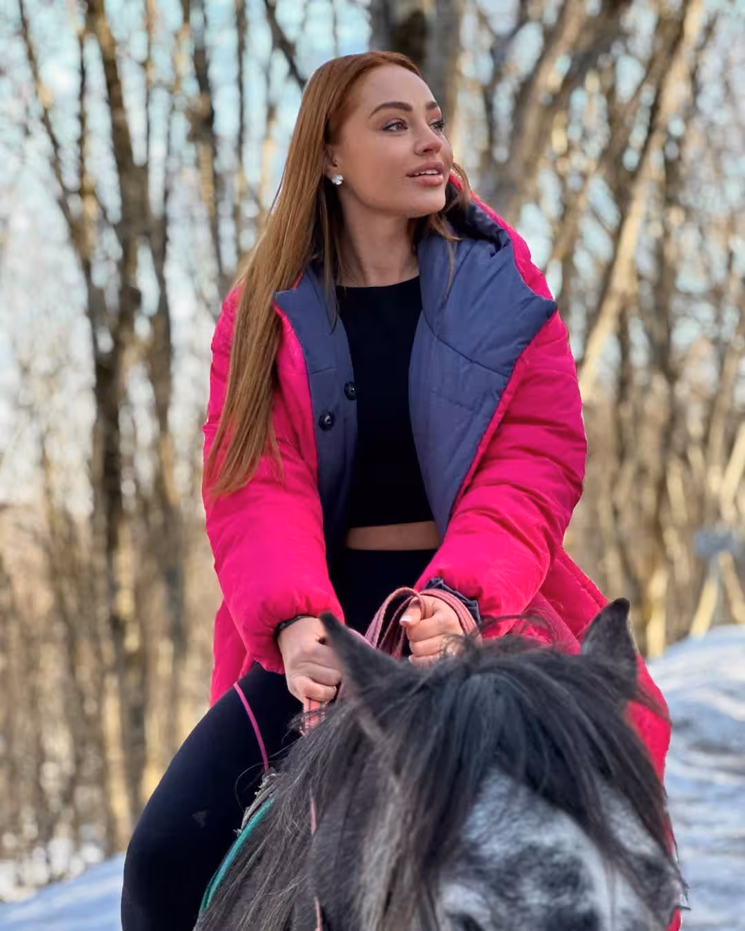 Anastasia  russian billionaires bride read online